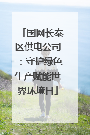 国网长泰区供电公司：守护绿色生产赋能世界环境日